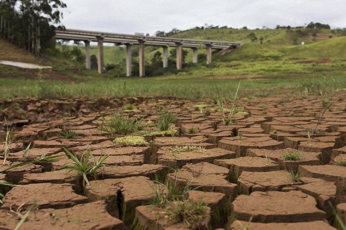 Severe drought in Brazil: how will this affect Ukrainian exports?
