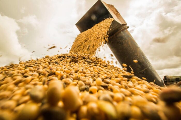 Exports of Ukrainian soybeans hit a minimum over the past seven years