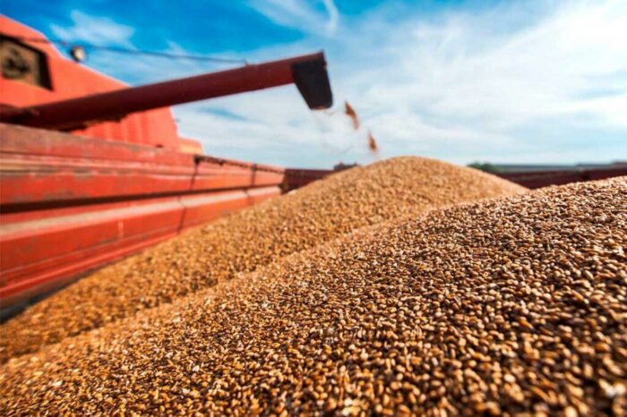 Ukraine exported the first million tons of grain of the new harvest
