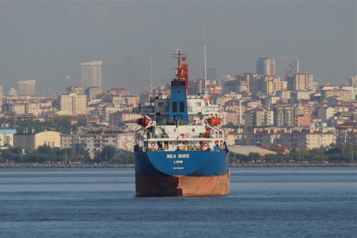 Dry cargo ship with Ukrainian grain sank in the waters of Greece