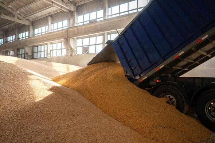 More than 6 million tons of Ukrainian grain have already been exported