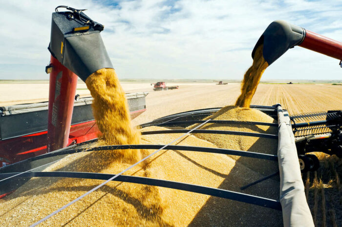 Grain exports exceeded 24 million tons