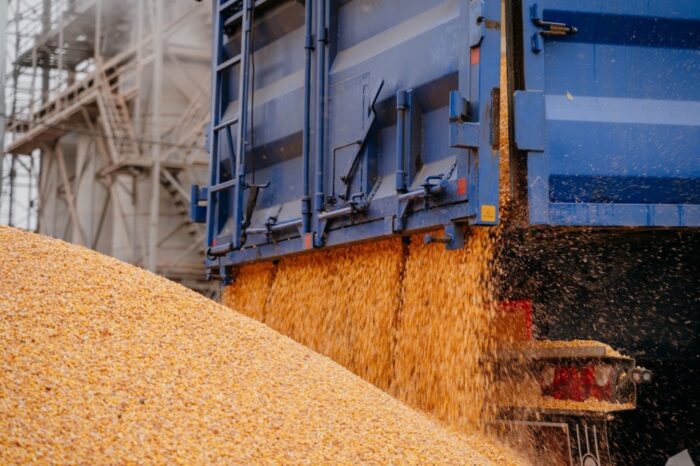 Ukraine may lose its place in TOP-3 corn exporters