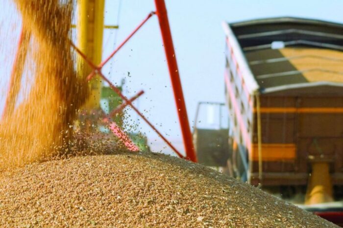 Grain exports from Ukraine amounted to 28 million tons