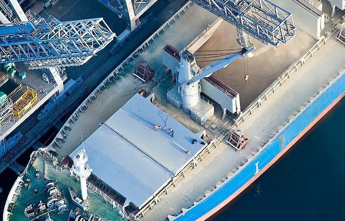 Ukrainian ports show record grain exports