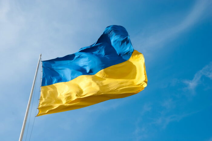 Nationalization, or How to compensate the losses to Ukraine