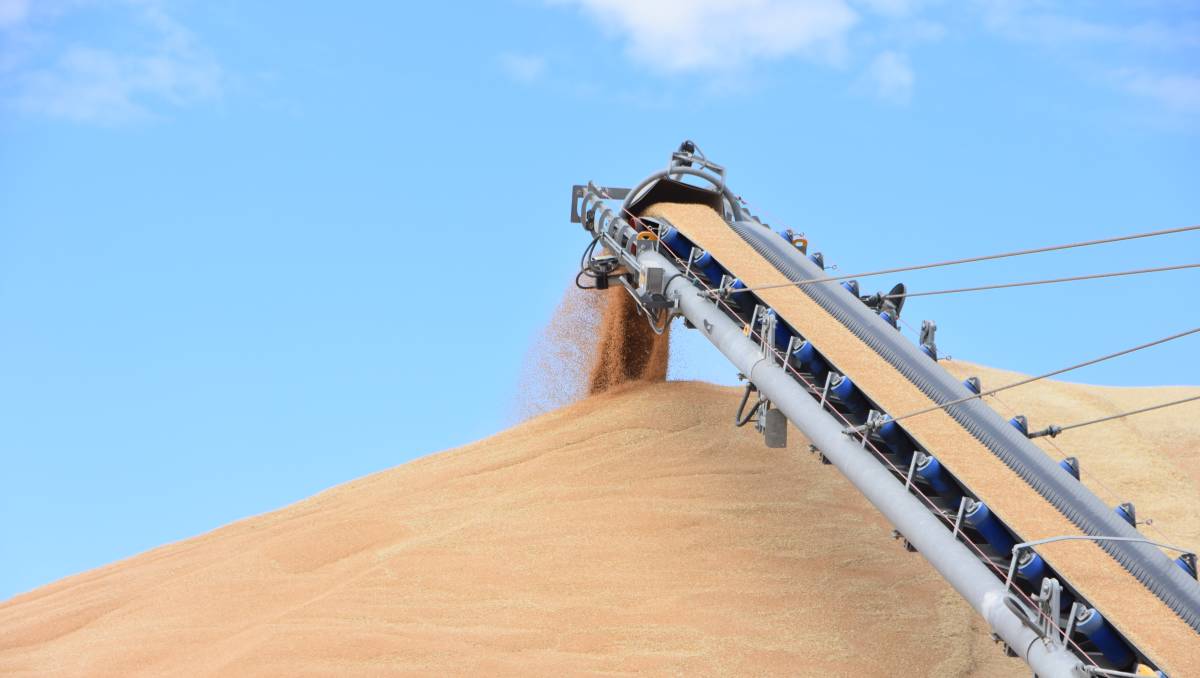 USDA raised the forecast for Ukrainian wheat exports | Ukrainian and ...