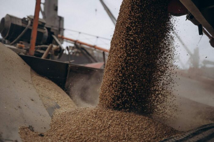 Three more vessels are being prepared for shipment as part of Grain from Ukraine