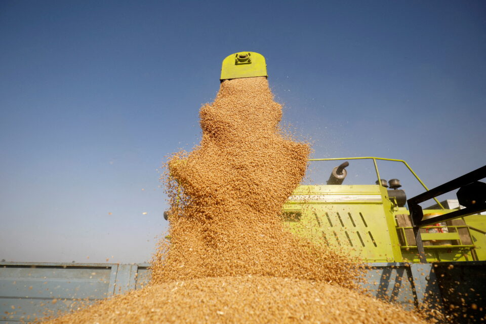 Poland will not cancel the embargo on Ukrainian grain even after withdrawing the complaint to the WTO