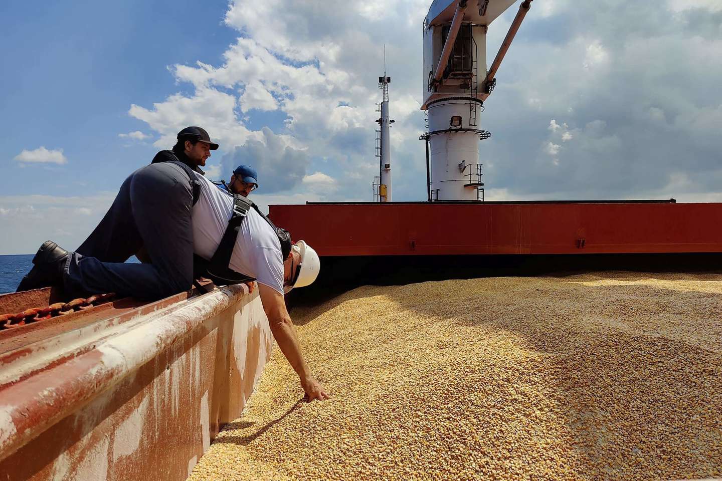 Ukraine Exported 100,000 Tons Of Grain Through The Port Of Croatia ...