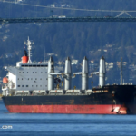 Судно з українським зерном прибуло до Нігерії