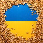 П'ять країн просять Єврокомісію повернути мито на українське зерно